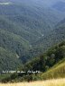 Carpathian trip - river bed in canyon 